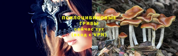 метамфетамин Богородицк