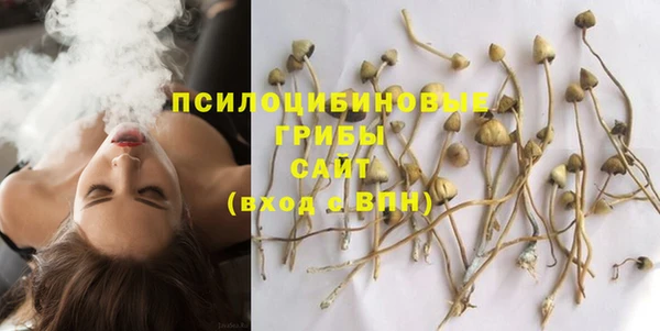 ALPHA PVP Бородино
